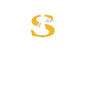 SALUS Educational Advocacy & Consulting LLC logo